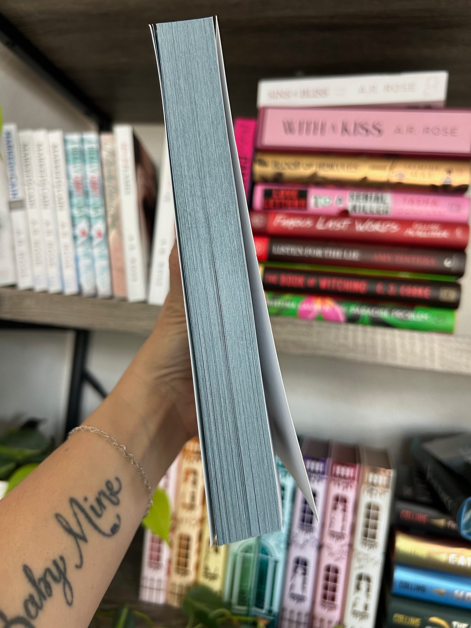 Stealing Forever Deluxe Paperback product image (3)