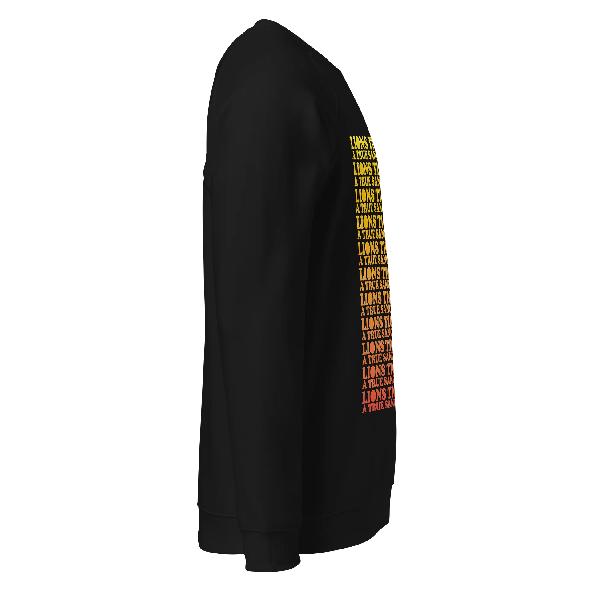 Gradient Raglan Crewneck product image (4)
