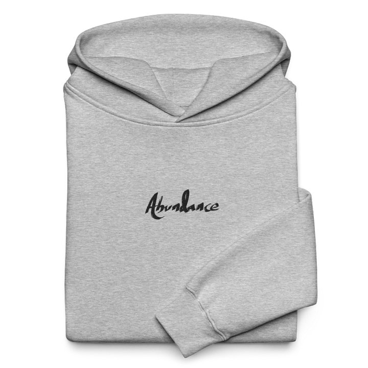 Abundance - Hoodie - Light Mode product image (2)