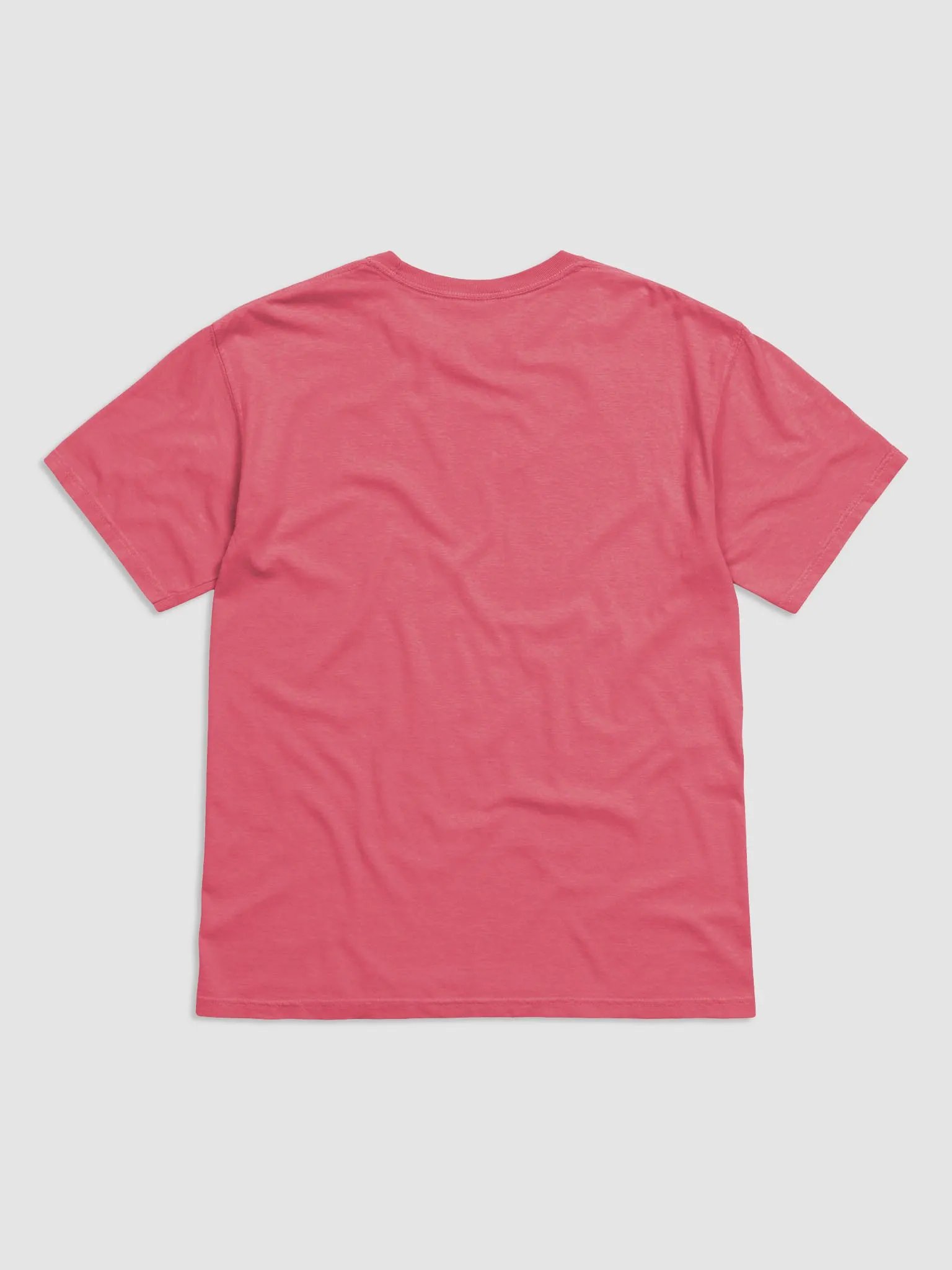 admittedly difficult (#440E00) garment-dyed tee product image (2)