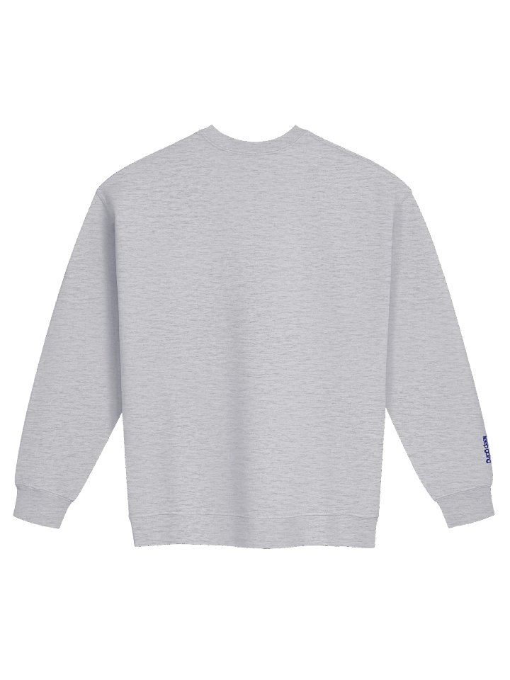 Mindshift Crewneck - Grey product image (2)