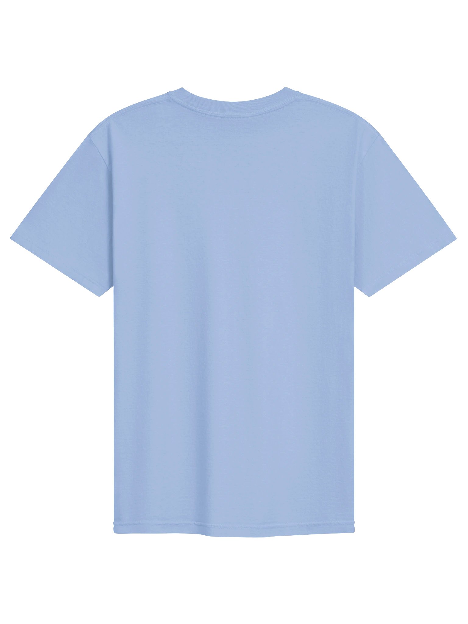 California Dept. of Love Sacramento Tee - Banner Wordmark product image (2)