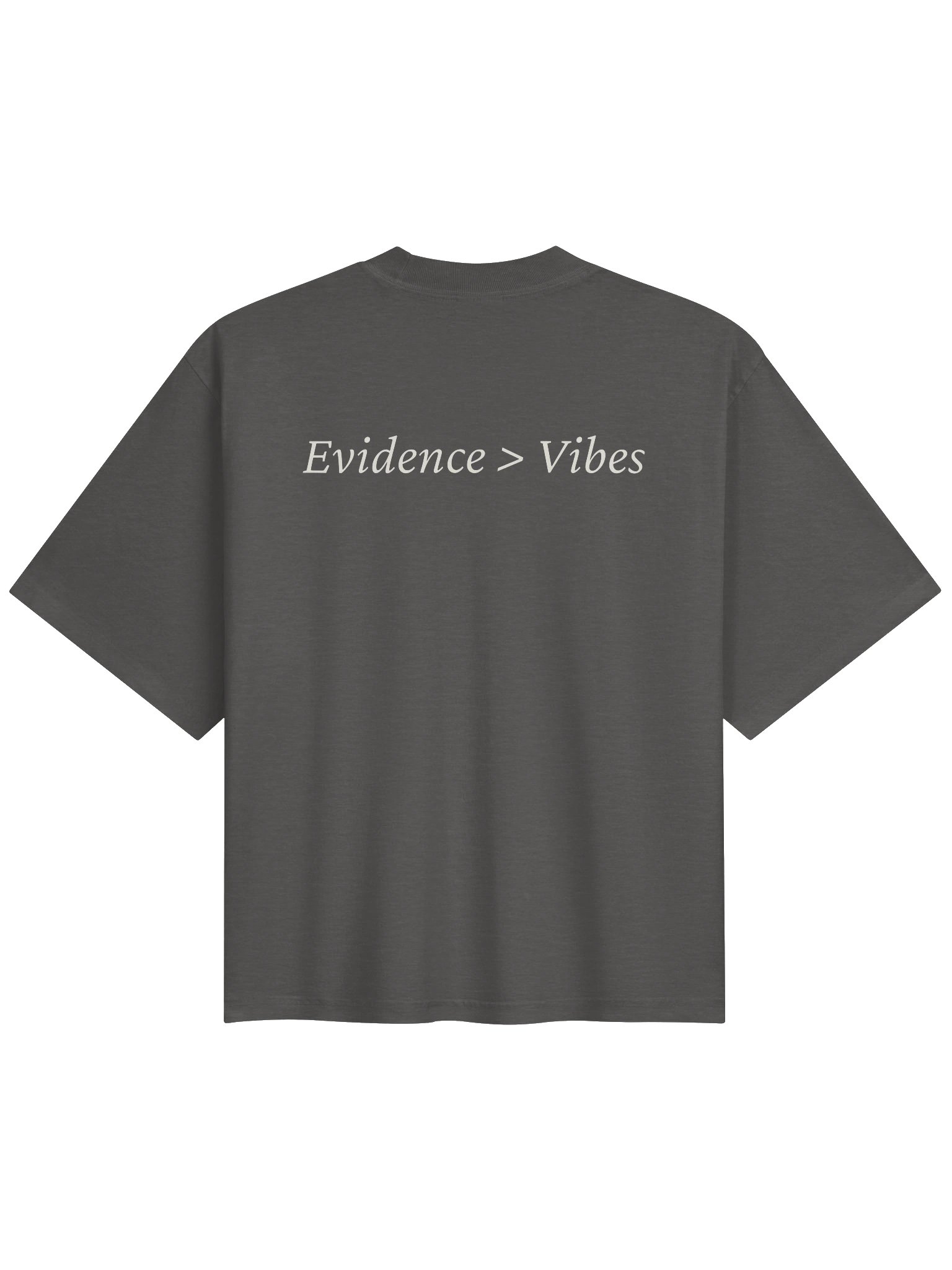 Synthesis — Evidence Over Vibes Tee / Shadow product image (2)