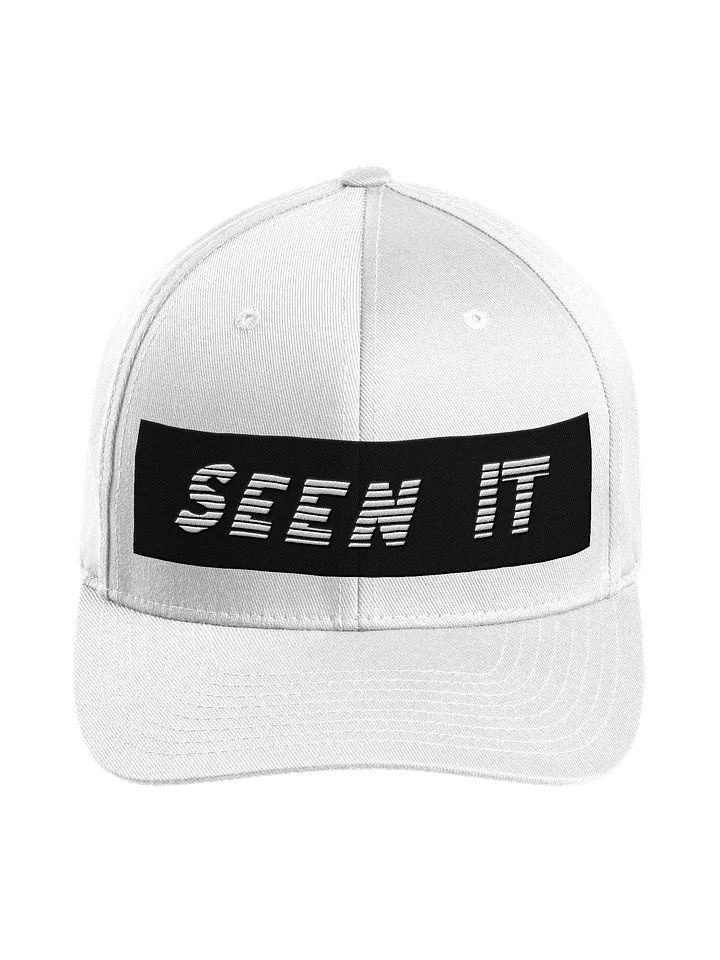 Witness Flex-Fit Hat product image (1)