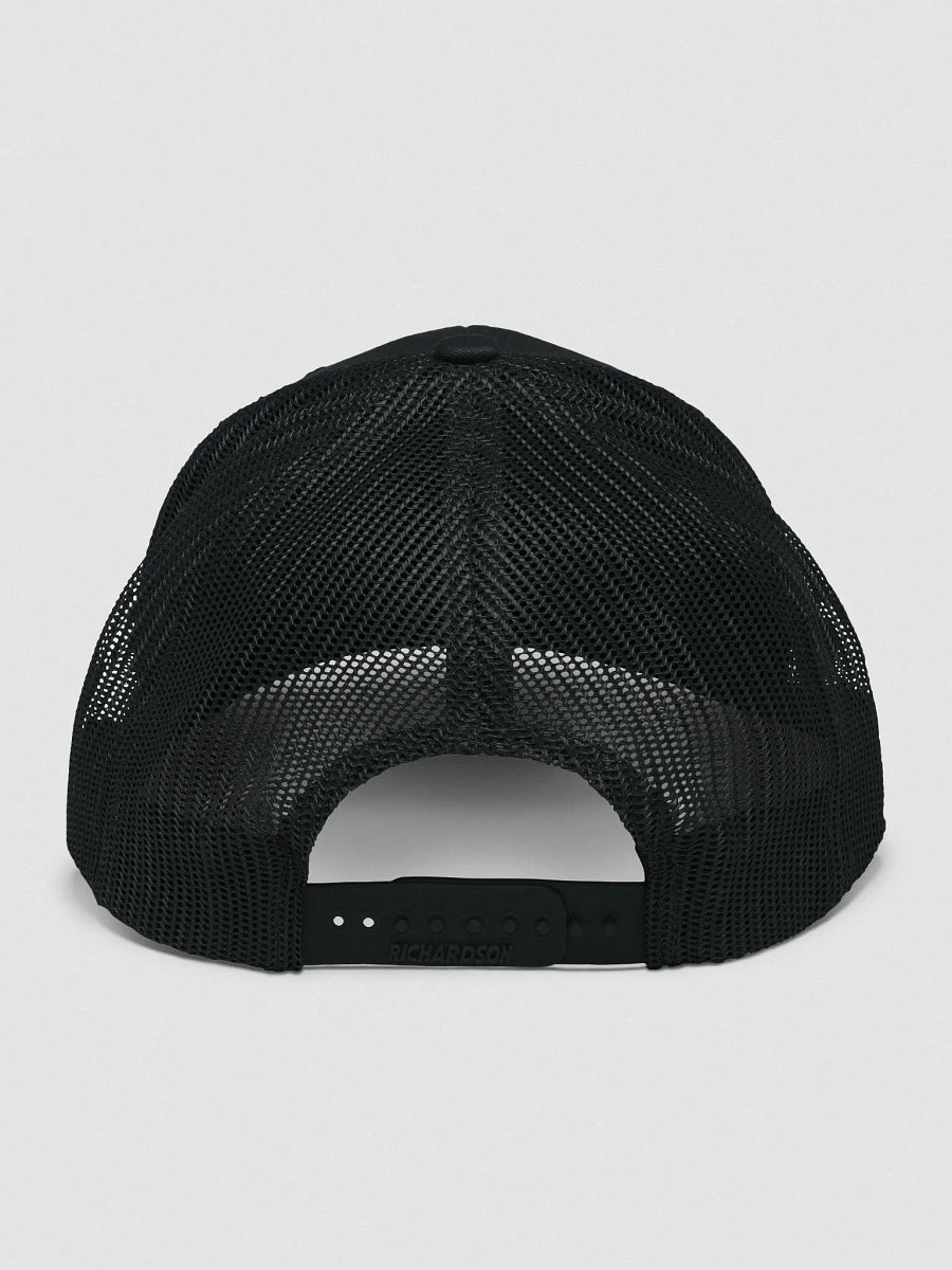 HTDS Logo Hat product image (4)