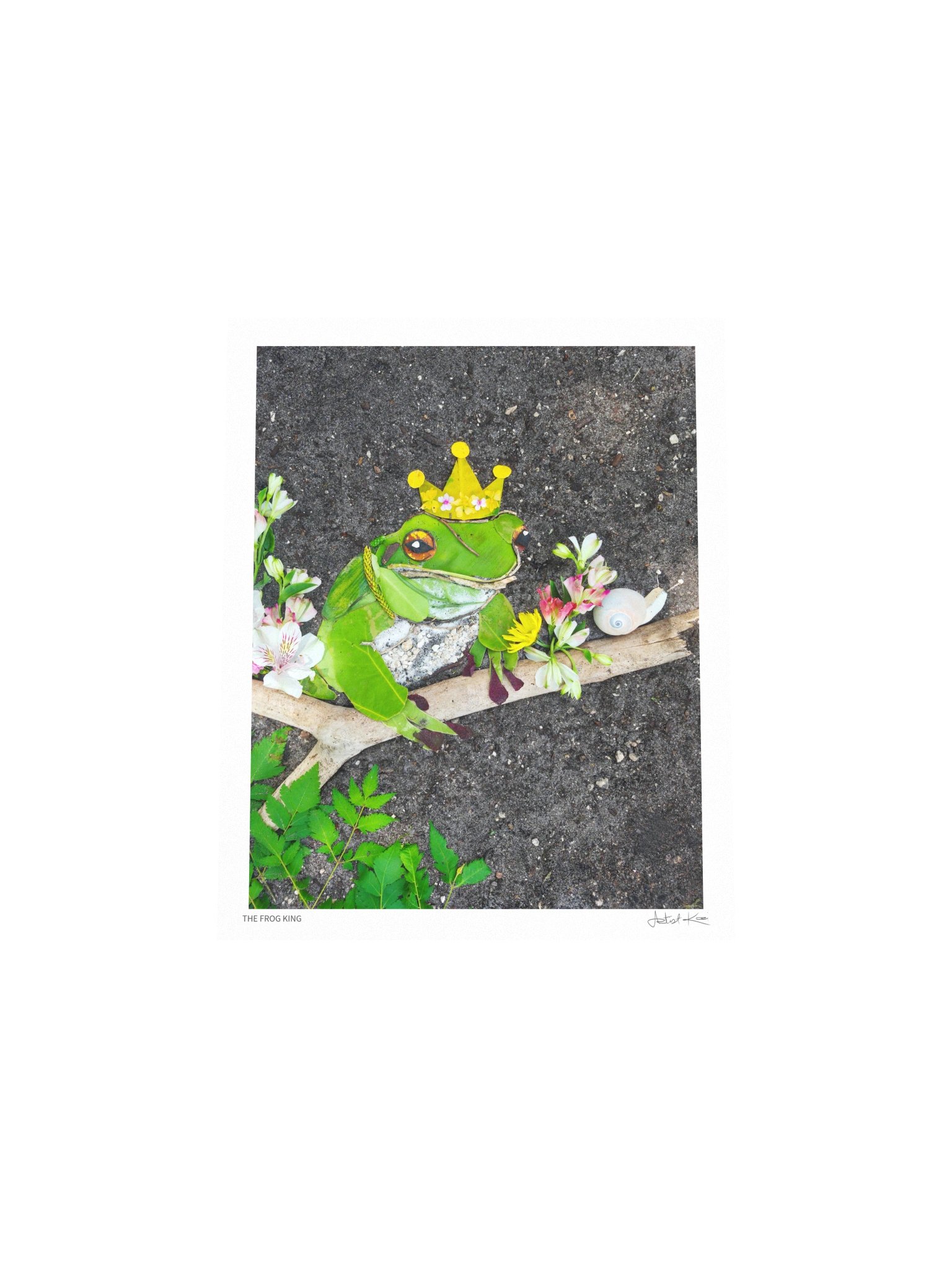 THE FROG KING | Nature Art Print product image (5)