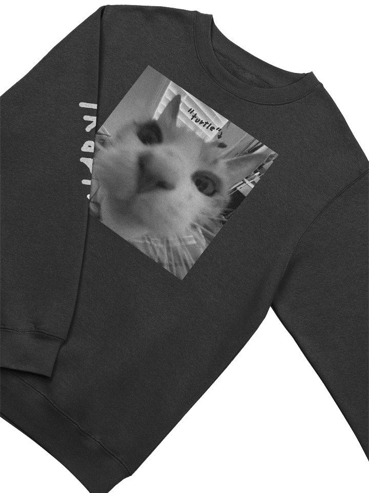 turtle cat — sweater product image (2)