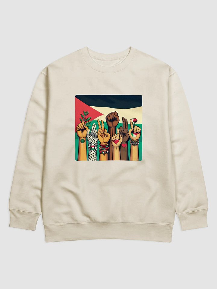 Solidarity Stripes Sweatshirt | free palestina product image (29)