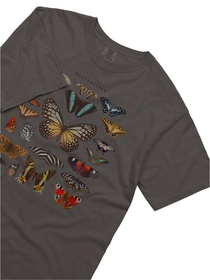 Vintage Butterfly Illustration Shirt – Dark Academia Insect Collage Tee, Nature Entomology Graphic product image (22)
