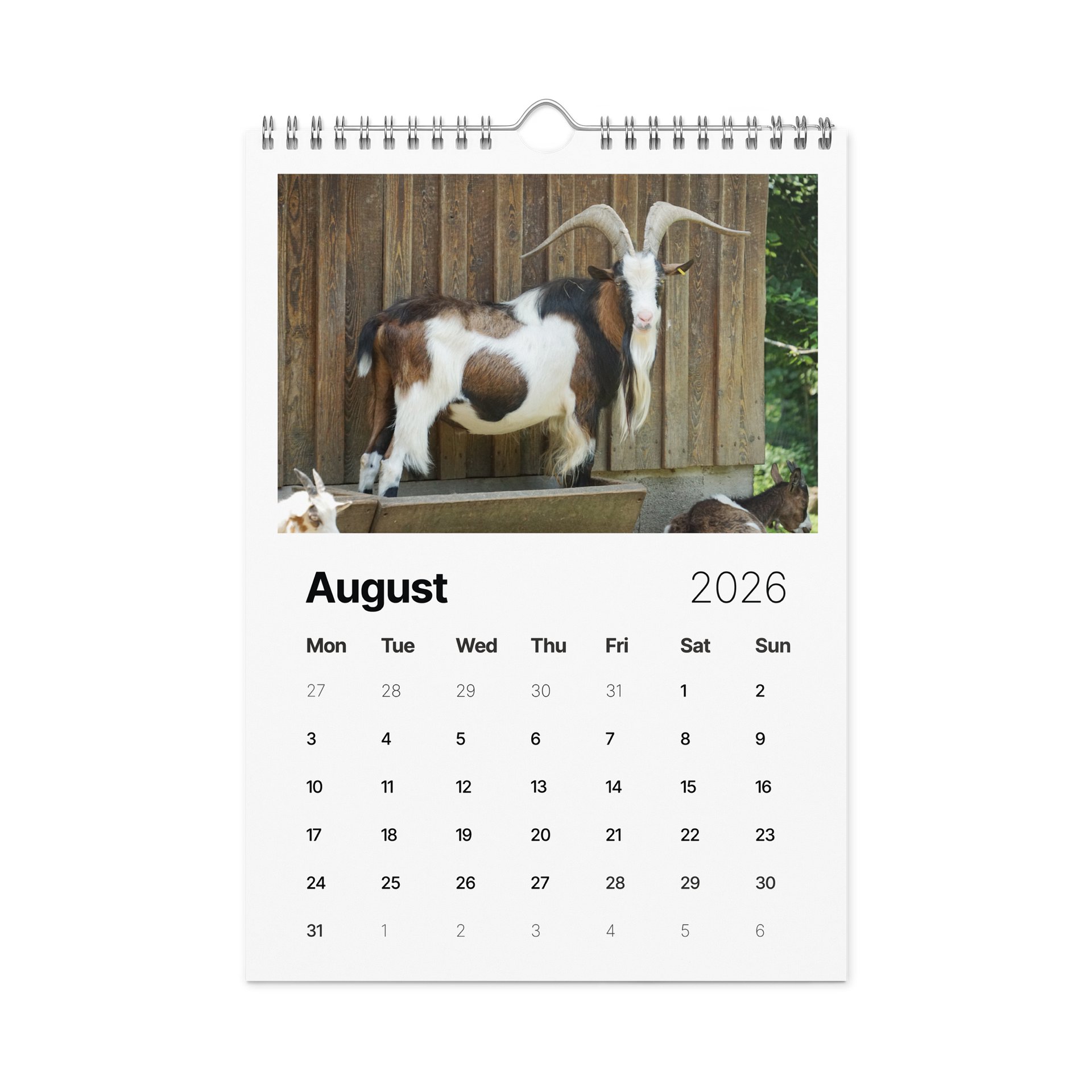 One Year, Twelve Animals: ESE 2026 Wall Calendar product image (2)