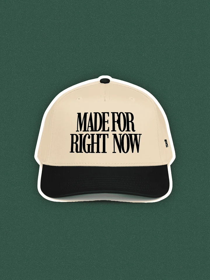 Made For Right Now | 5 Panel Hat product image (2)