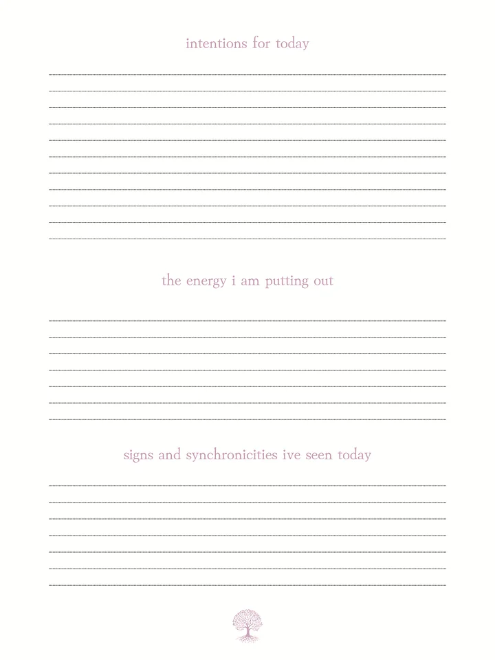 Your Daily Dose Manifestation Journal | Daily Self-Reflection Printable product image (2)