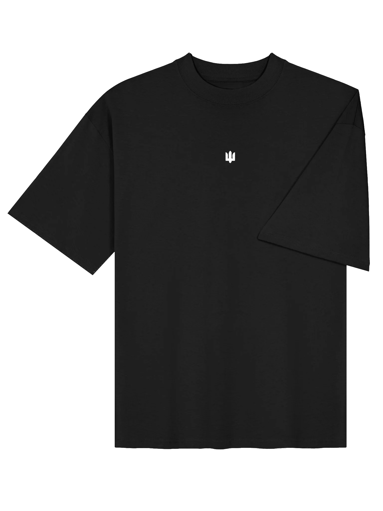 Classic Tryzub Oversized Tee product image (5)