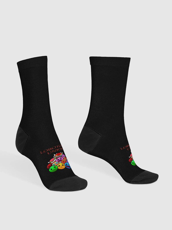 LOBOTOMY UNION SUSTAINABLE CREW SOCKS product image (1)