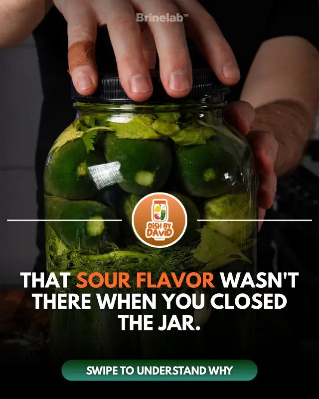 You put fresh vegetables in a jar. Days later, you open it and they taste completely different. More sour. More complex. Sometimes even a little fruity or buttery. But here’s the interesting part: You didn’t add those flavors. They were created while the jar was sitting there. That transformation is one of my favorite things about fermentation. Want to see how I build flavor into my own ferments? Check out The Real Fermentation System through the link in my BIO.
