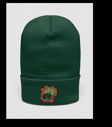 Embrace cuffing season with this form-fitted beanie featuring stylized hands holding green banknotes. #thinkhippieland #nexts...