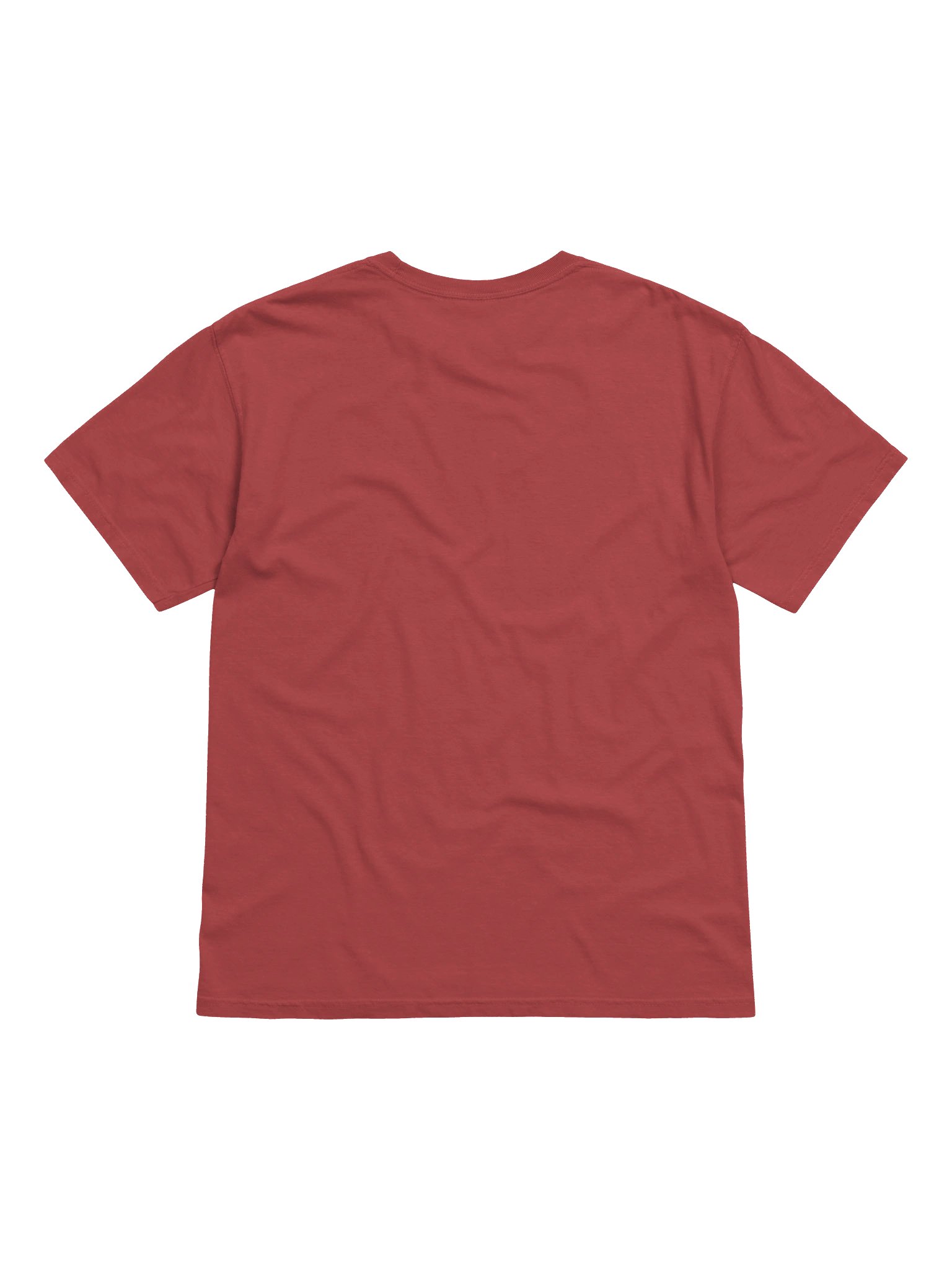 "Plot Armor" Graphic Tee Light product image (22)