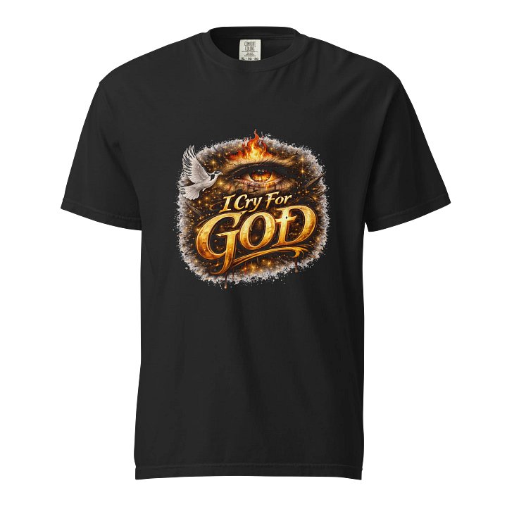 I Cry For God product image (1)