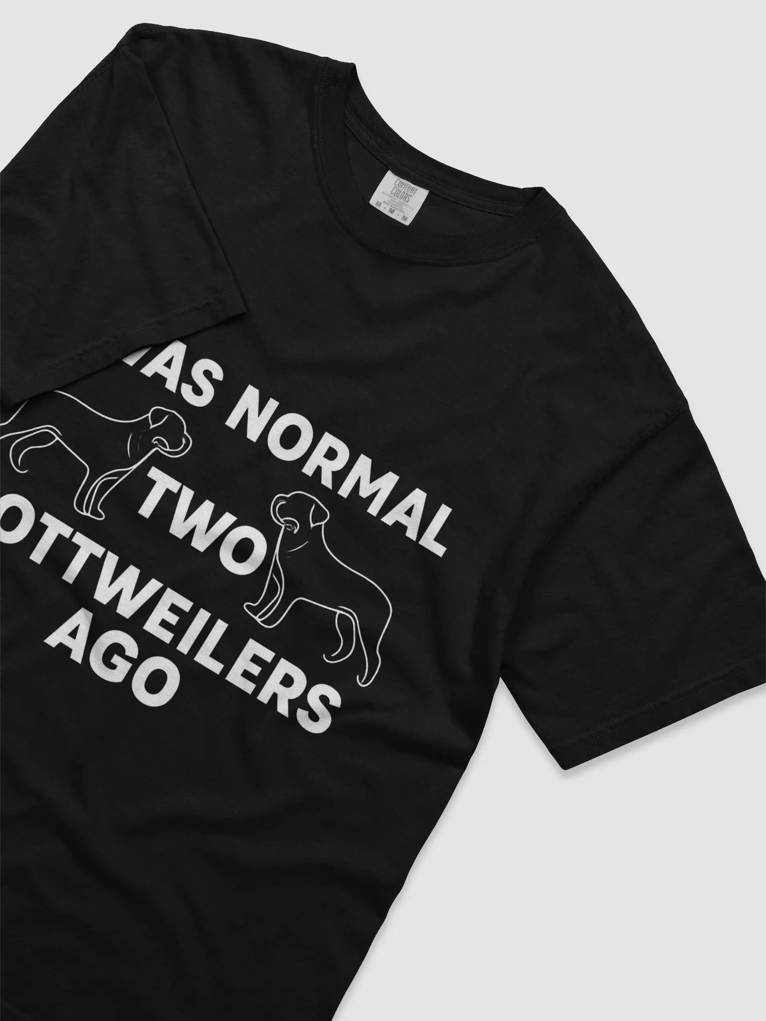I WAS NORMAL TWO ROTTWEILERS AGO product image (3)