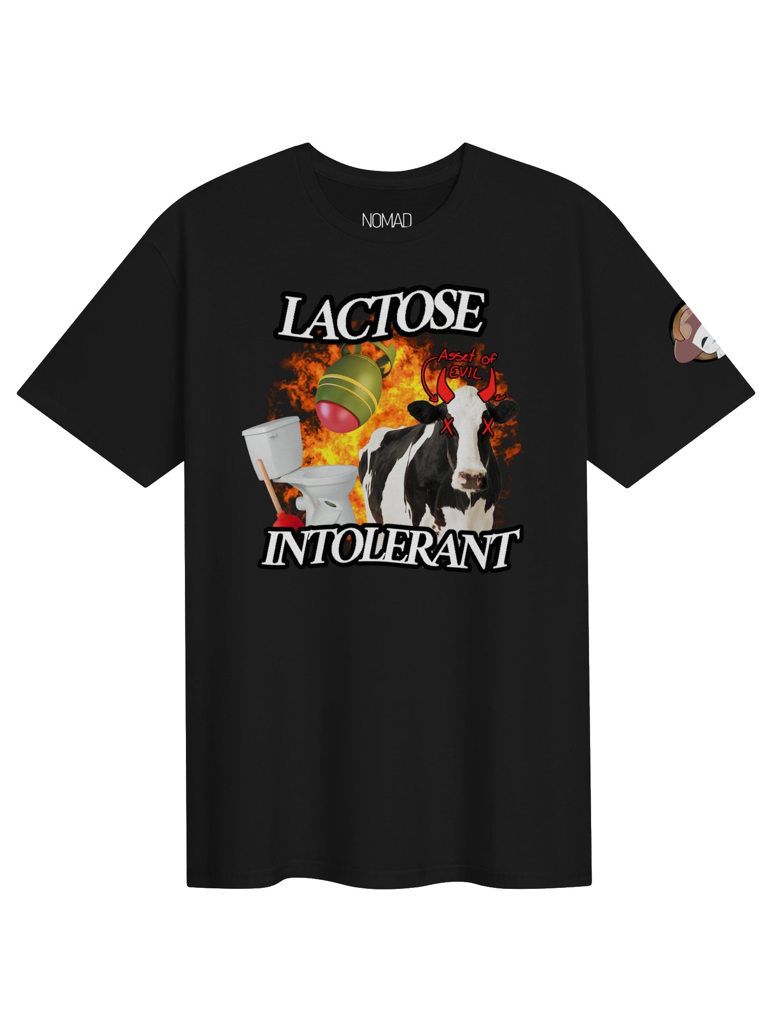 Lactose intolerant product image (1)