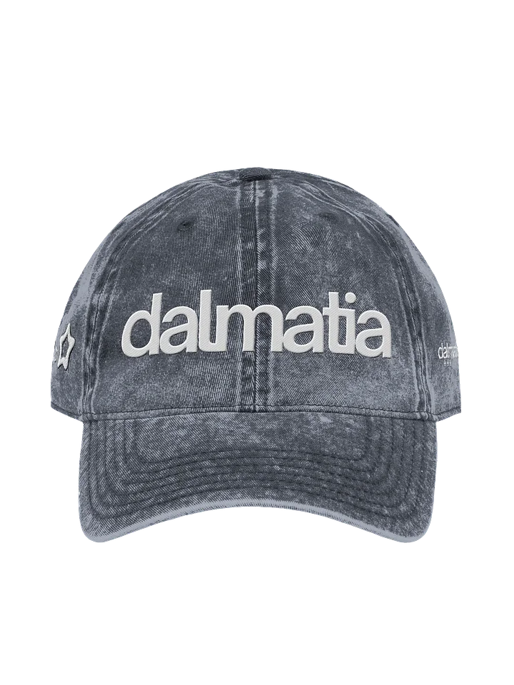 Dalmatia Logo Hat product image (1)