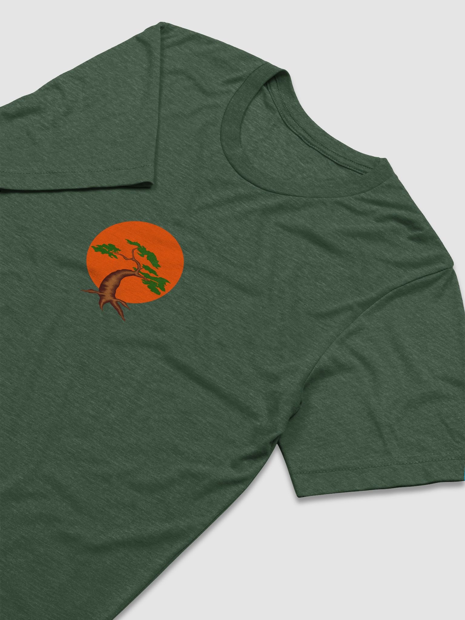 Sunlit Tree Triblend Tee product image (6)