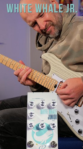 My video on the new @crazytubecircuits White Whale Jr. is up! This is a 2-in-1 Real Spring Reverb pedal with Tremolo! I test ...