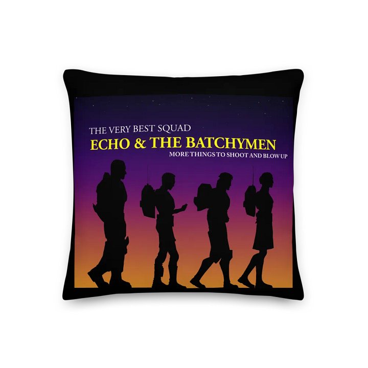 Echo & the Batchymen Pillow product image (3)