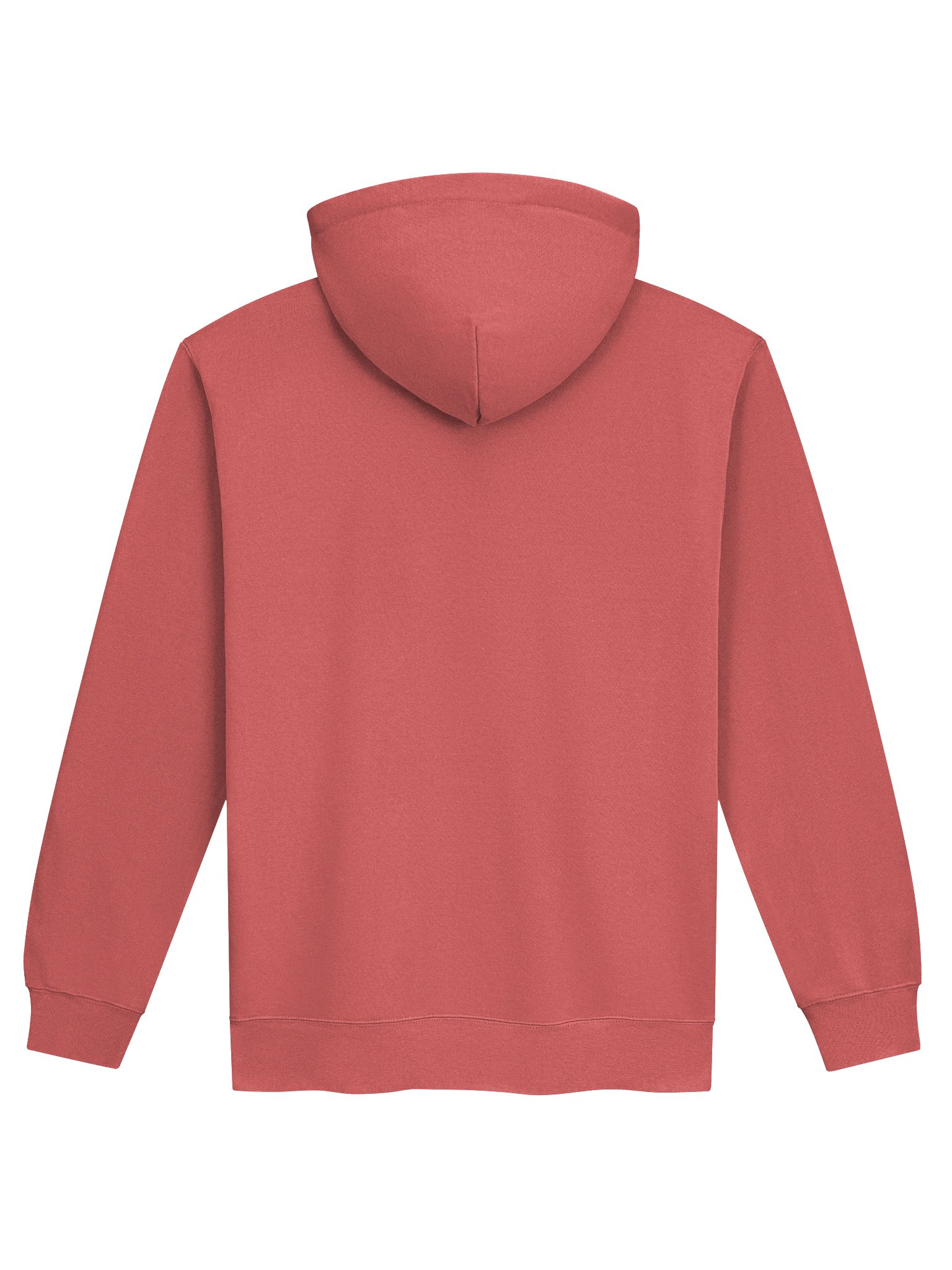 Da Vinci Clownfish Embroidered Premium Hoodie | Saltwater Reef Aquarium Fish & Marine Life Apparel product image (5)