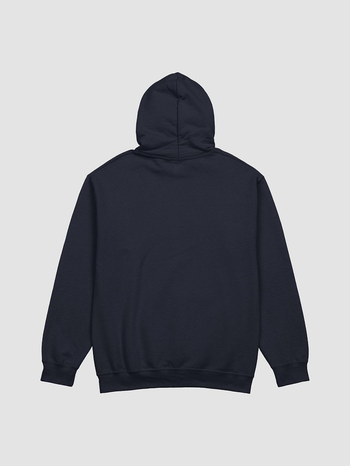 Chakra Biofield Rejuvenation Hoodie product image (2)