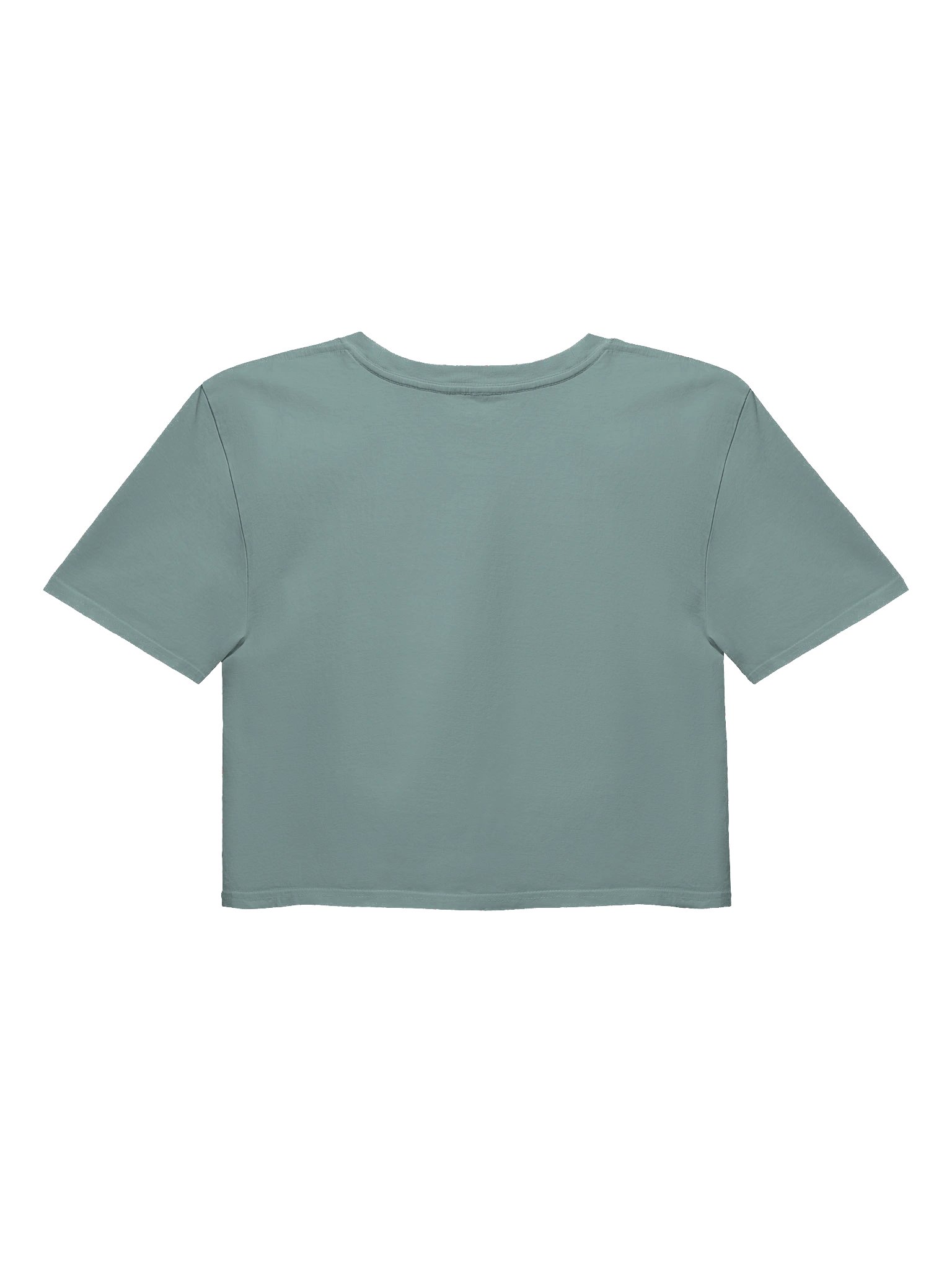 No Means No! Sheep Protest Crop Top product image (14)