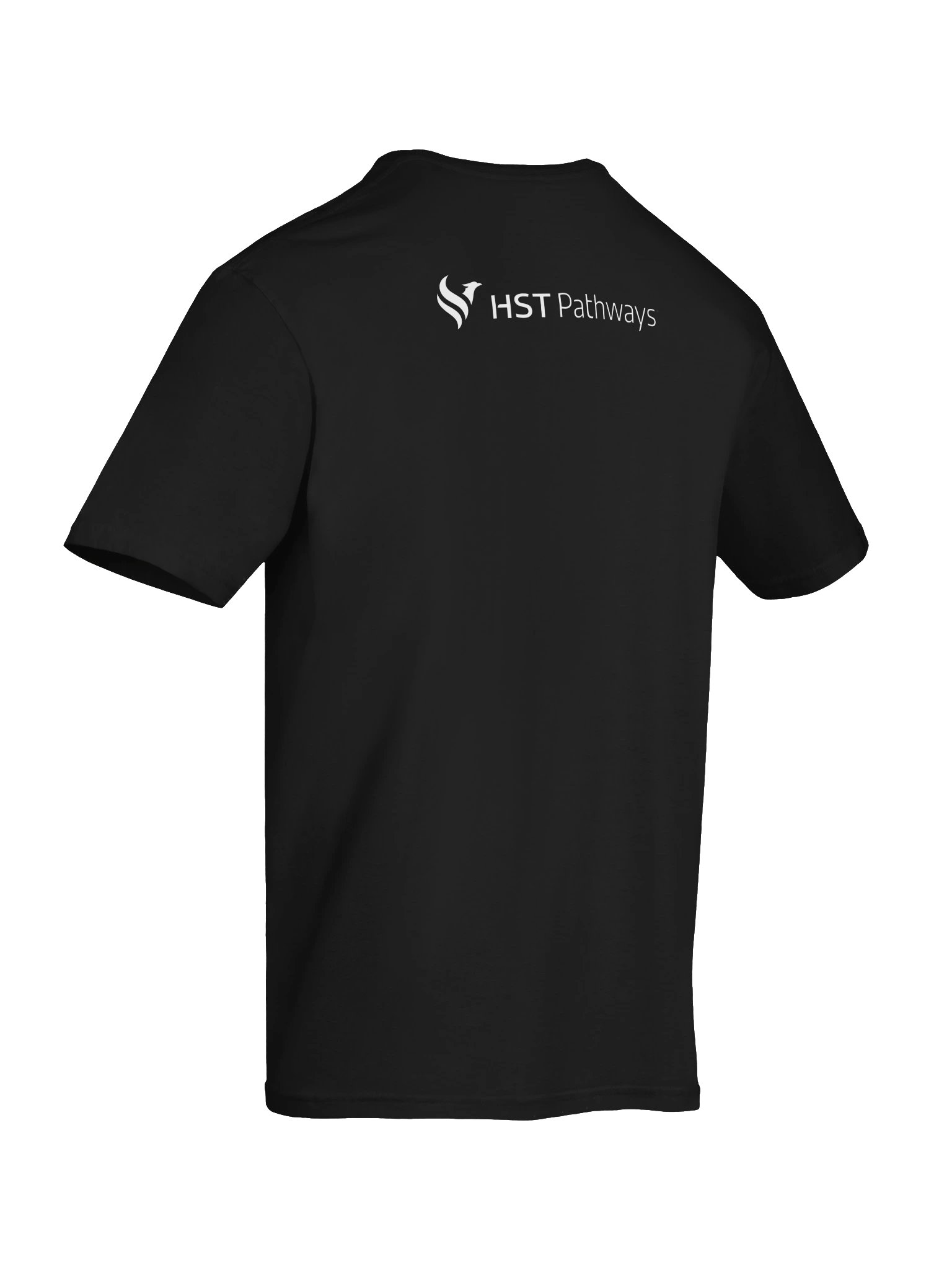 HST Pathways Unisex Softstyle T-Shirt - Chart Smarter (Illustrated) product image (36)