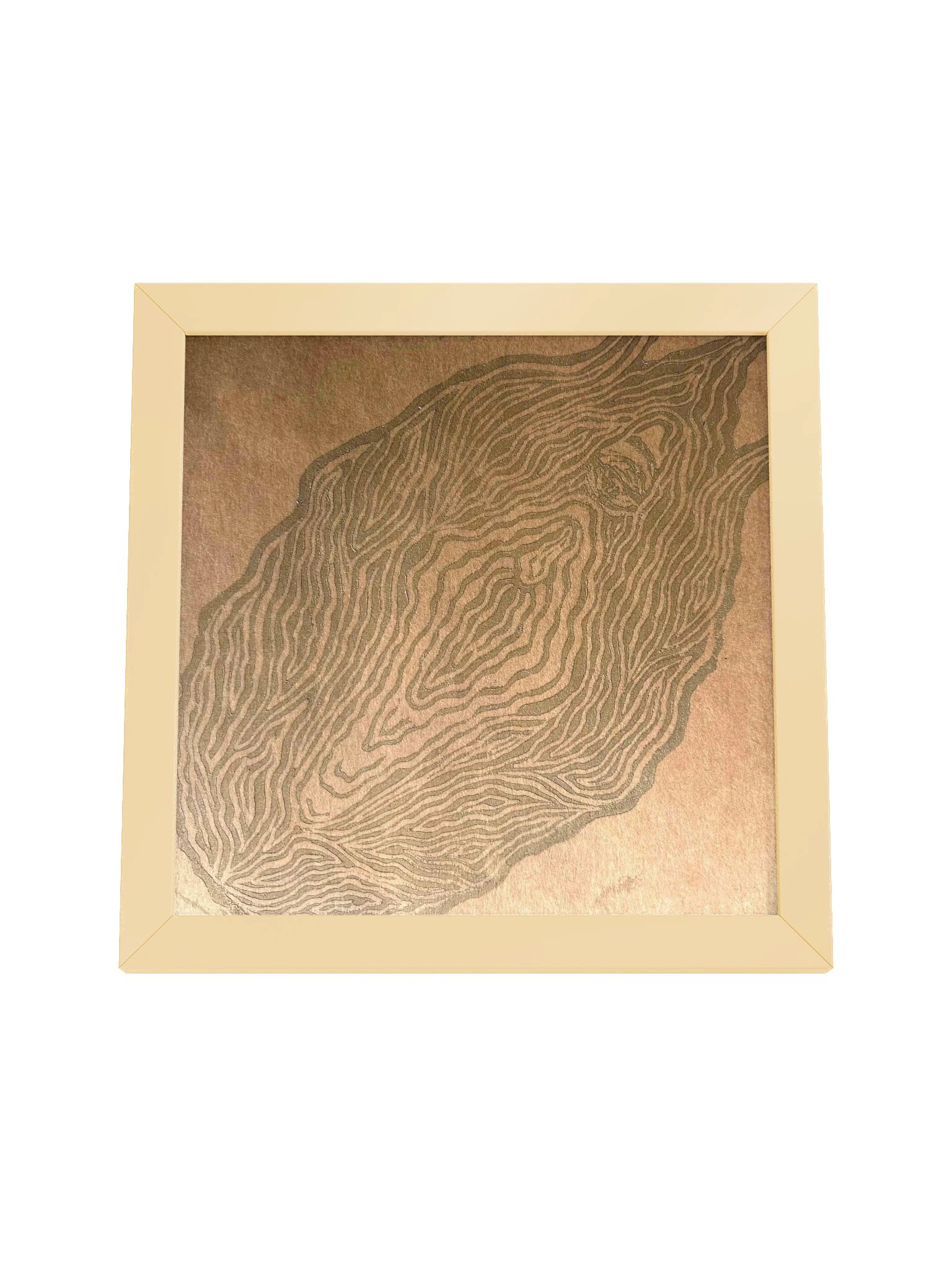 Resguardar — Framed Poster product image (24)
