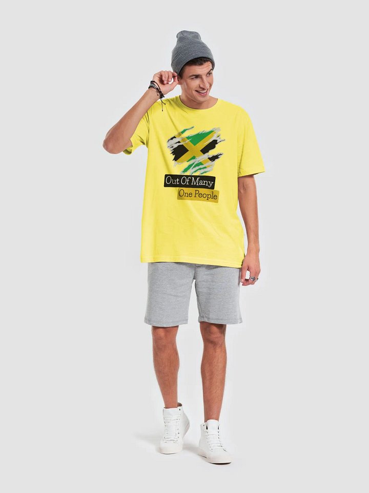 Out of Many Supersoft T-Shirt product image (2)