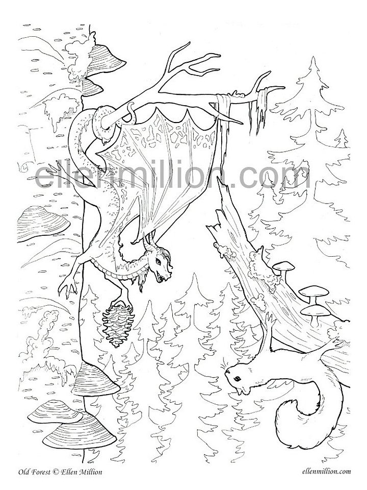 Old Forest - Digital Coloring Page product image (1)