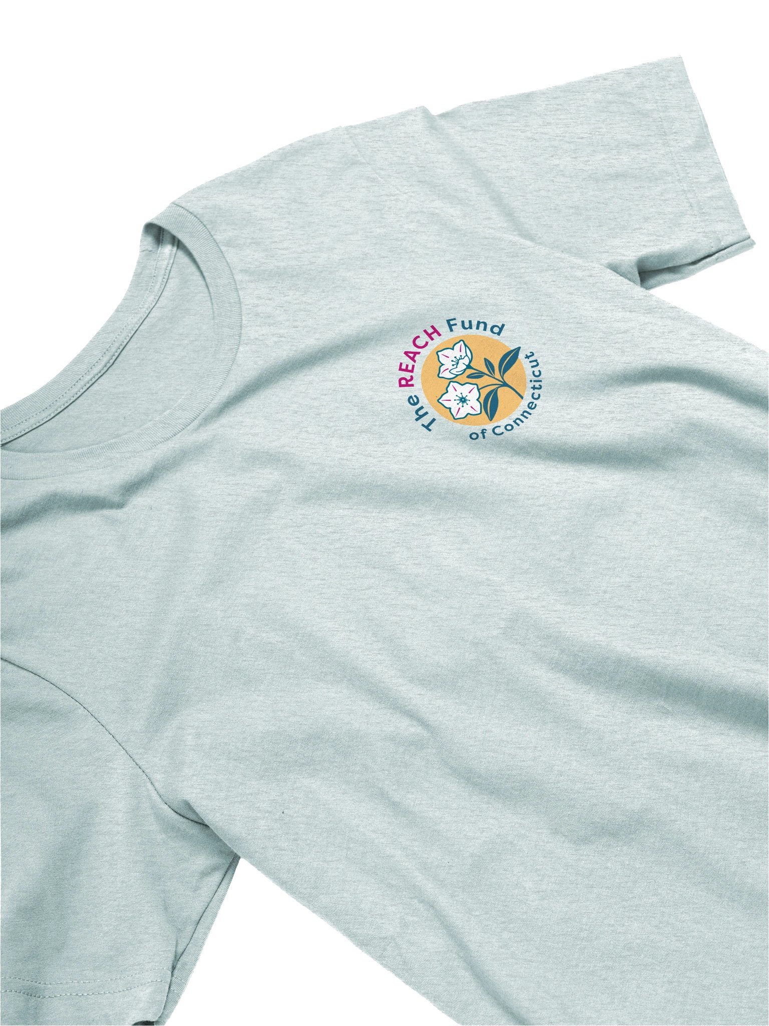 REACH Logo product image (2)