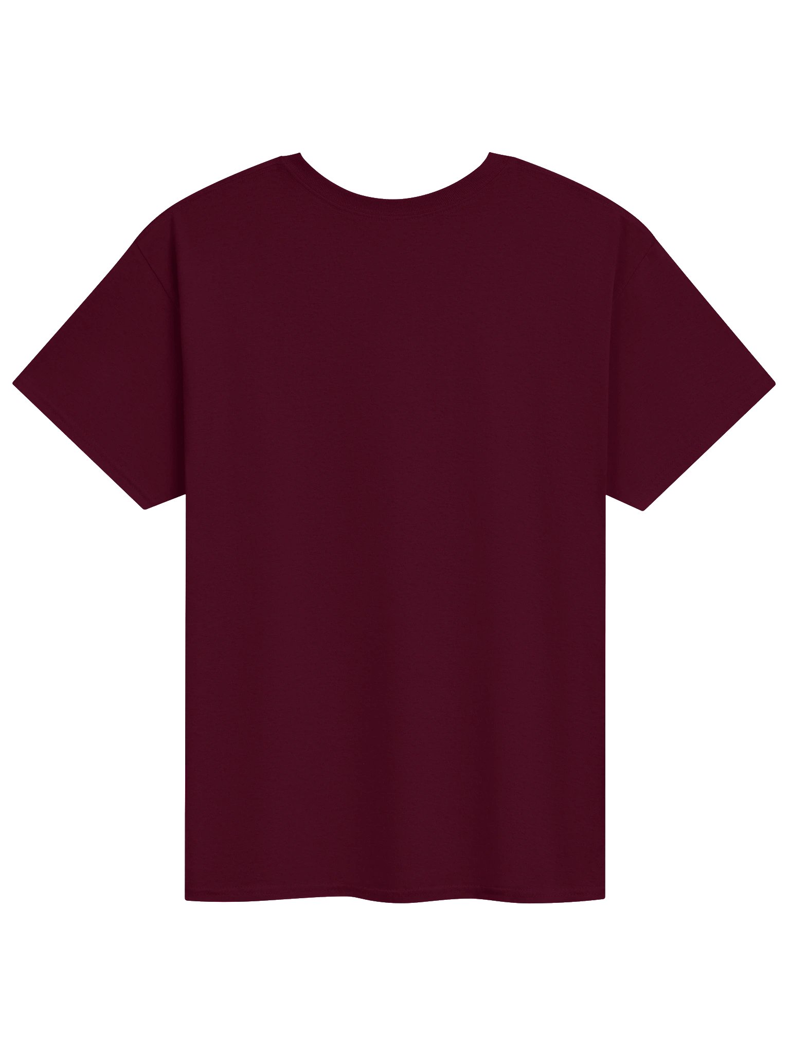 Temple of Endurance T-Shirt product image (21)