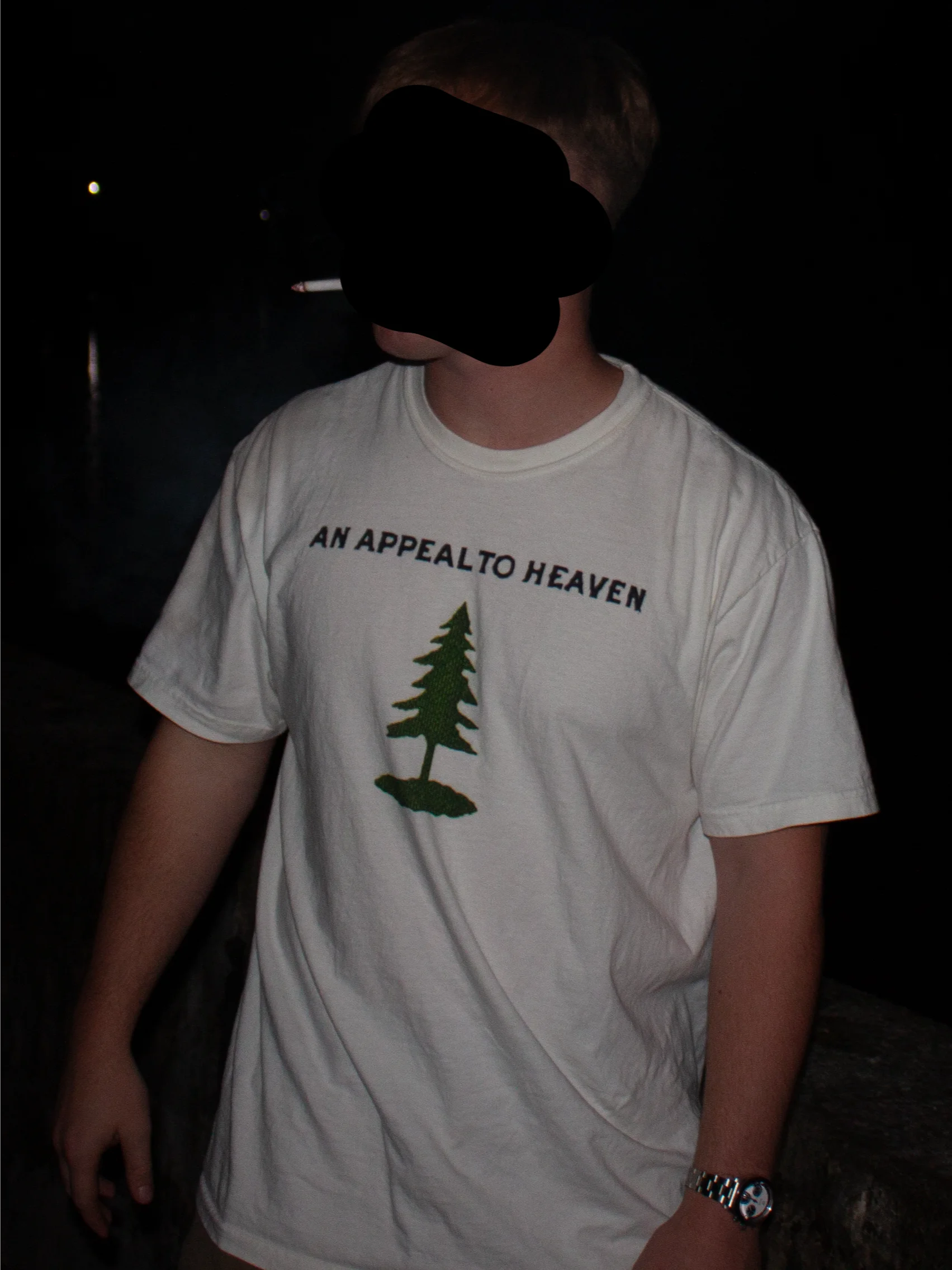 AN APPEAL TO HEAVEN SHIRT product image (9)
