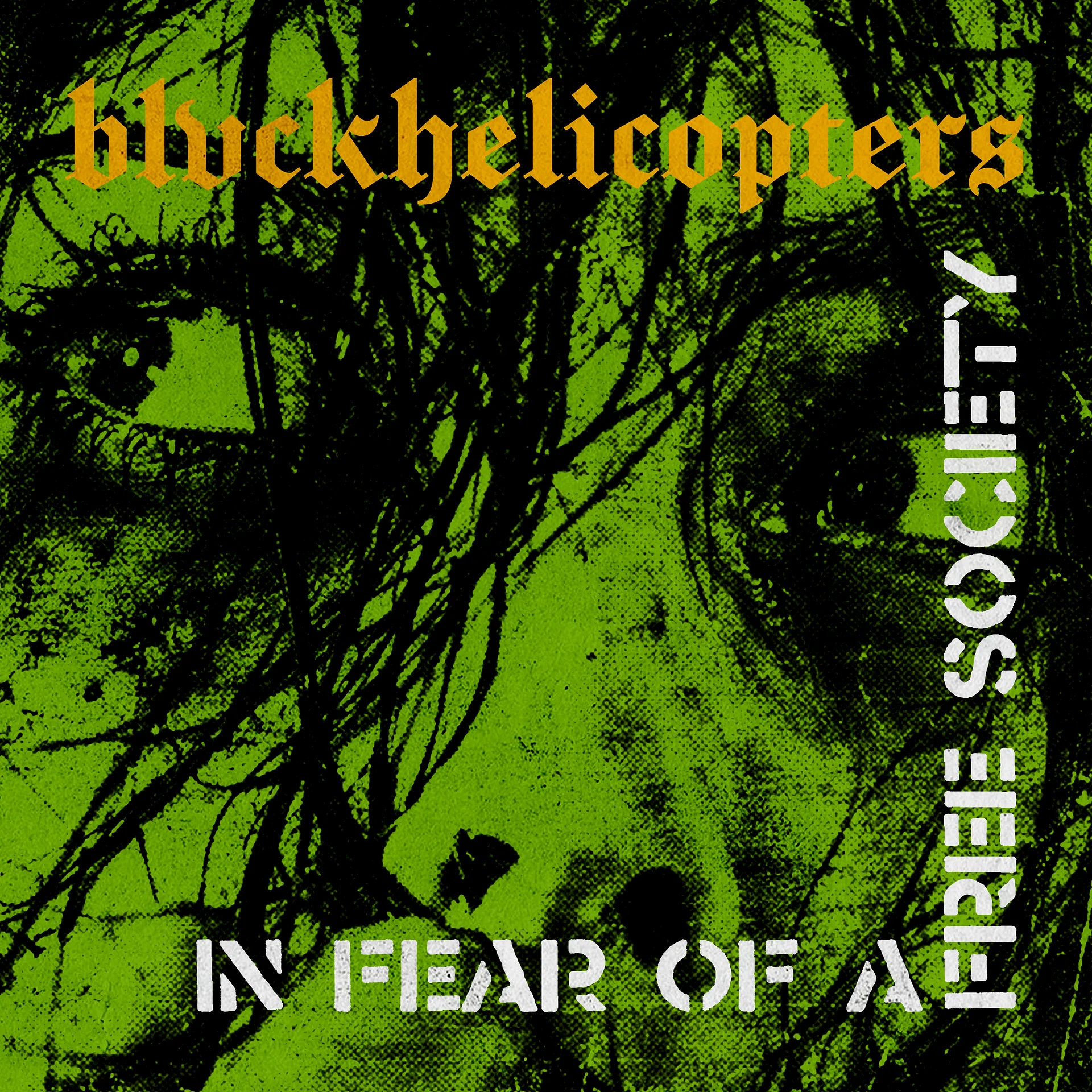 IN FEAR OF A FREE SOCIETY product image (1)
