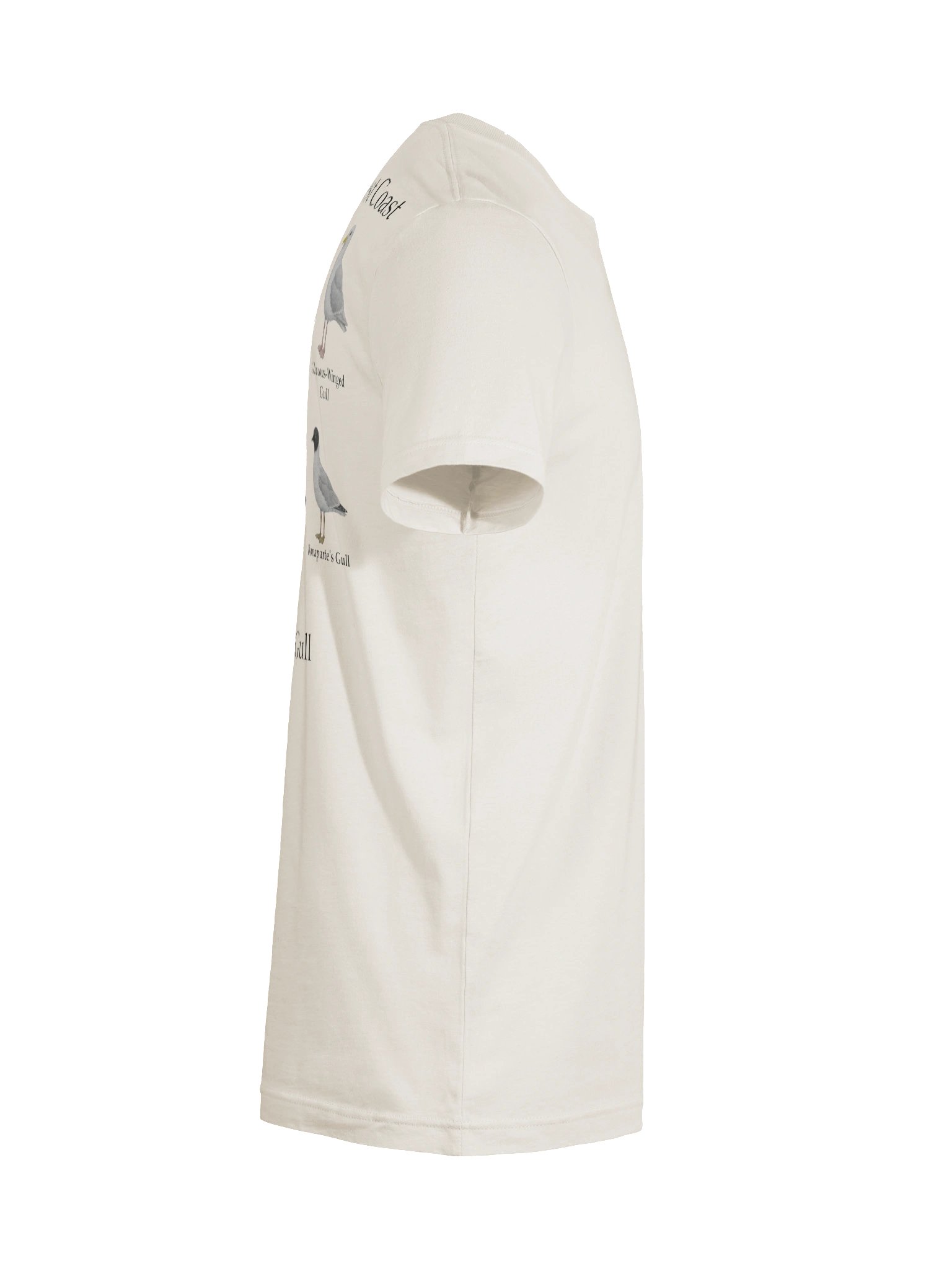 West Coast Bay Gull (T-Shirt) product image (12)