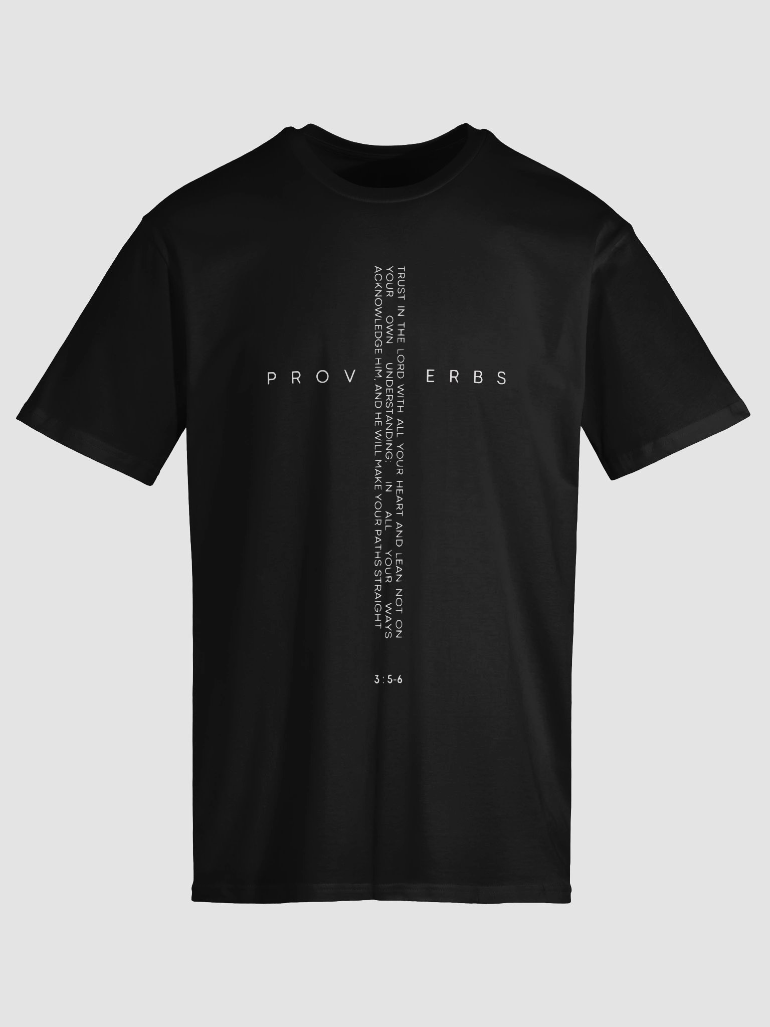 Proverbs Unisex Tee product image (11)