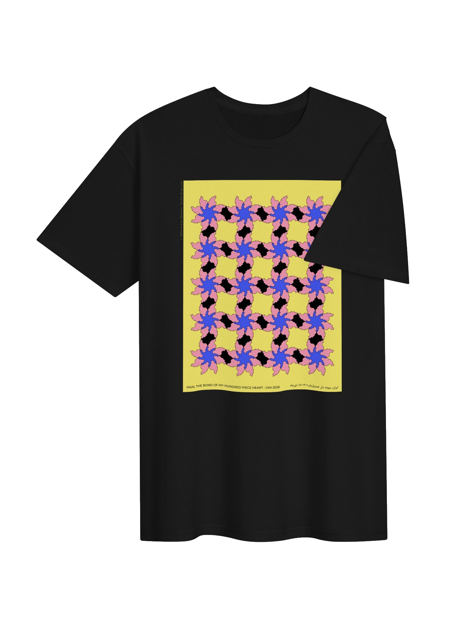 Where Iran Blooms, Sol product image (6)