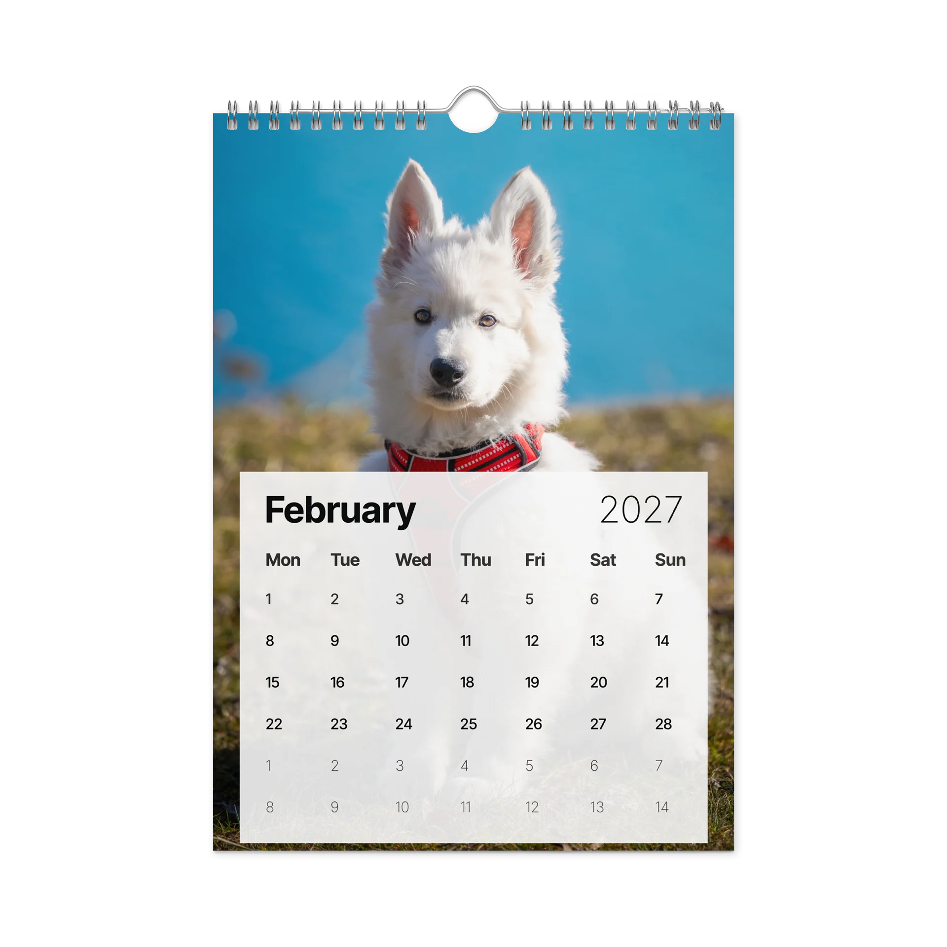 Lil Rasta Calendar 2027 product image (5)