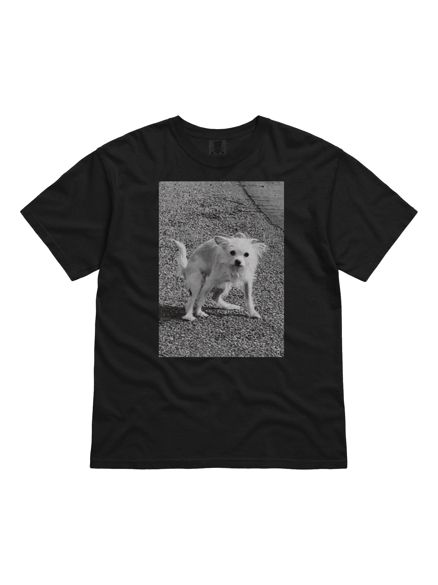 Charlie Shits product image (1)