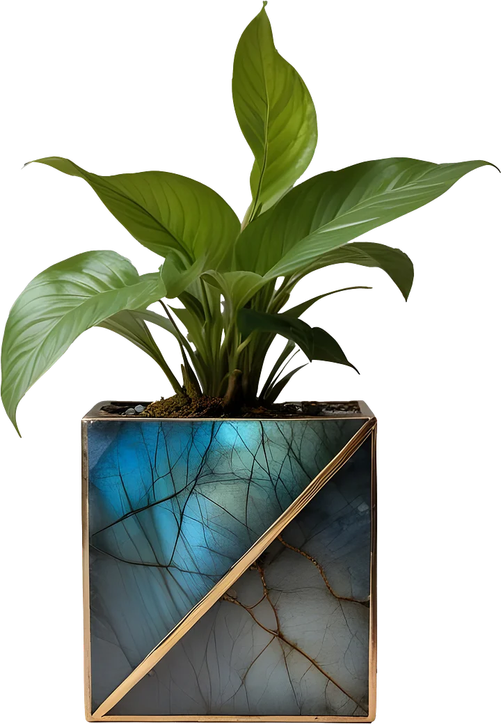 Stellar Luxe – Diagonal Labradorite & Bronze Planter PNG product image (1)