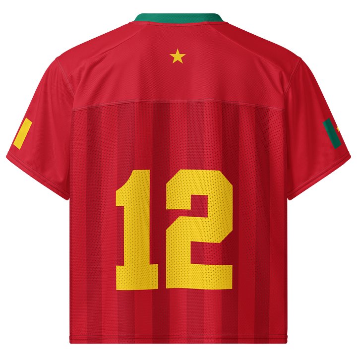 Cameroon Boxy Sports Tee product image (2)