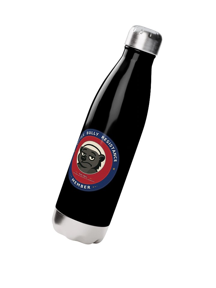 Office Bully Resistance Stainless Steel Water Bottle: Insulated Bottle with Vintage Pin Design product image (3)