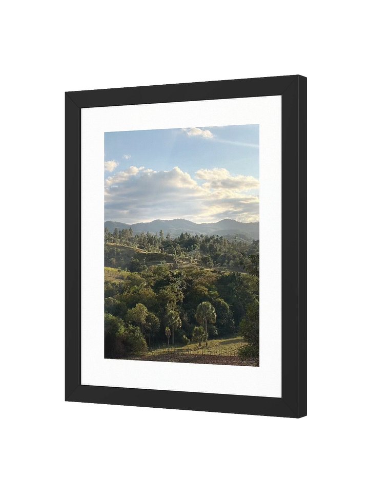 Hills and Palm Tree Framed Art Print product image (6)