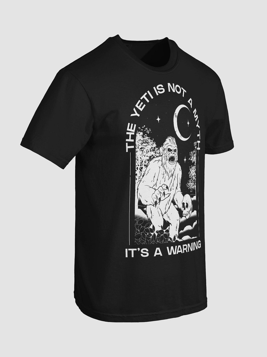 More than a Myth Graphic Tee product image (74)