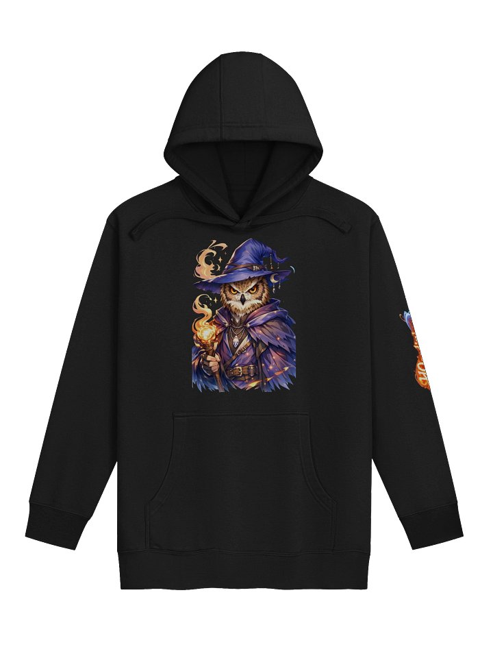 h0oodini_ Wizard Owl Premium Hoodie product image (1)